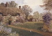 James matthews Ellens Green,near Cranleigh,Surrey (mk37) oil painting